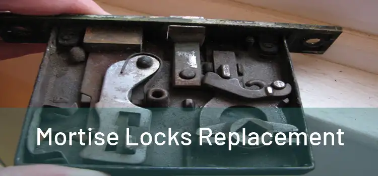  Mortise Locks Replacement 