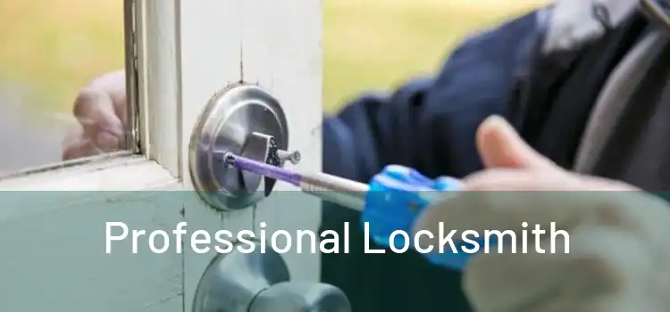  Professional Locksmith 